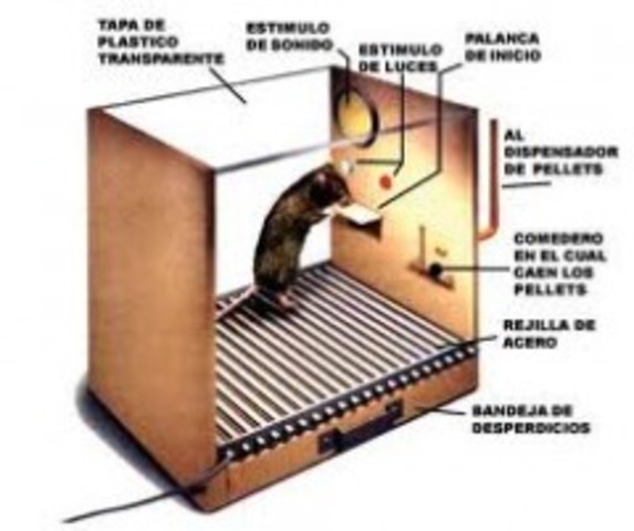 CAJA DE SKINNER
