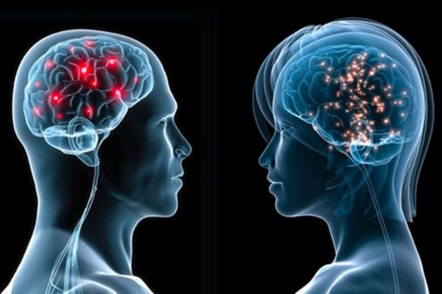 Neuroscienze cognitive e sociali