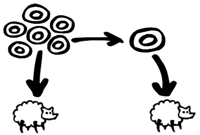 Break down the wall: How the “folder effect” limits the transfer of learning.