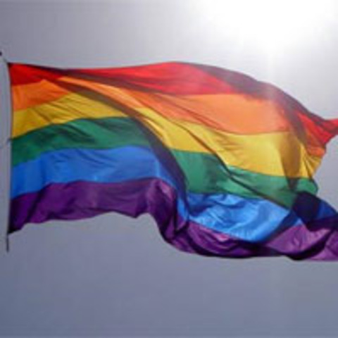 Henry refers to homosexuals as "unnatural".