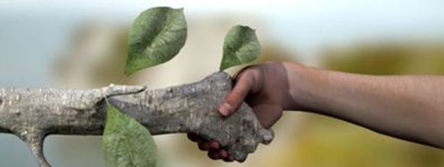 La Educación en la Gran Colombia (1819 - 1830)