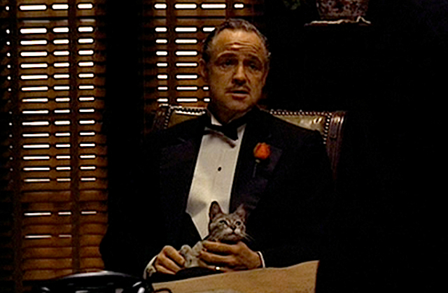 Kapitel 6: Wieberfastnacht