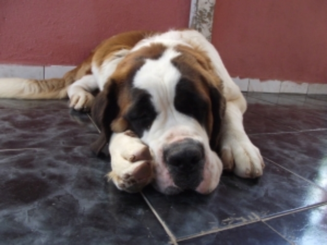 Kapitel 7: Doppelkorn