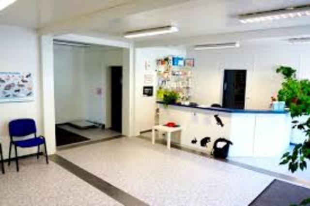 Dino daurte Benno zu Tierarzt. Benno werden sein gut.