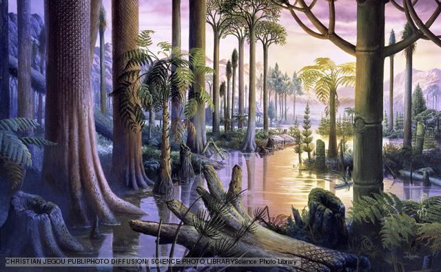 Carboniferous 345MYA-280MYA