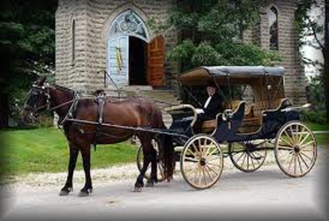 First Horse and Buggy used