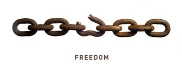 freedom