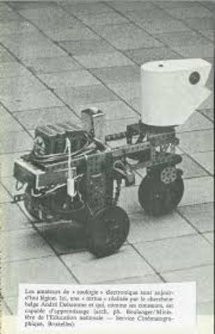 La Tortue Cybernetique