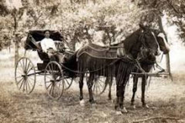 What is horse and buggy