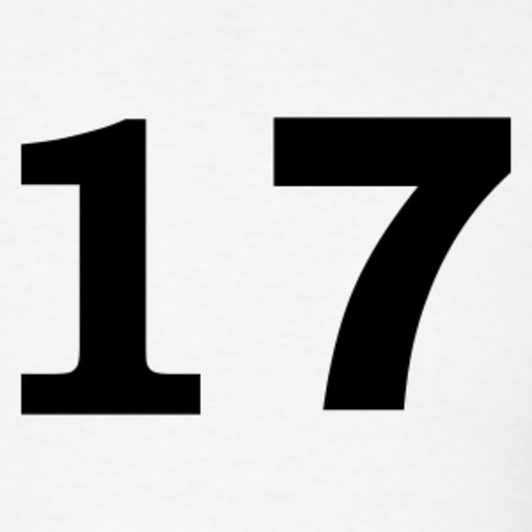 Day #17