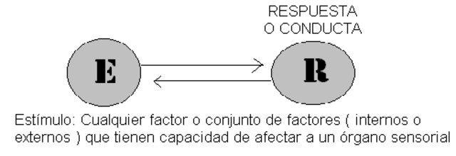Teoría conductista del estímulo-respuesta