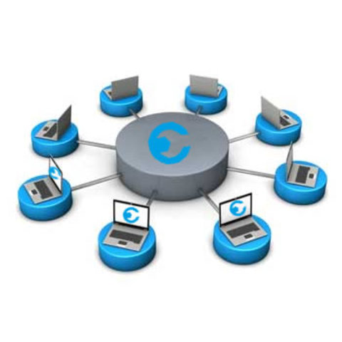 El año de las Intranets.