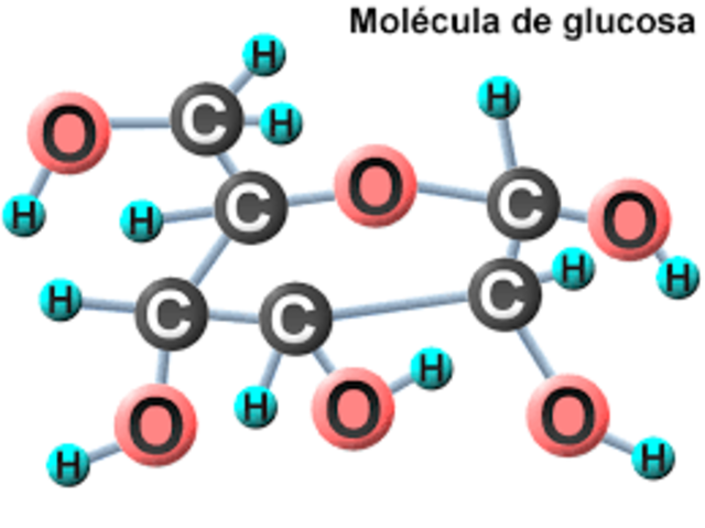 Glucosa