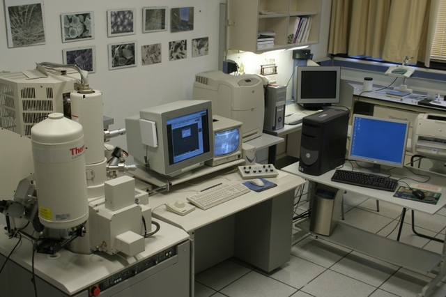 Técnicas de microanálisis