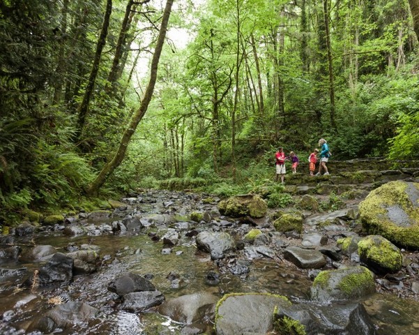 SE FUNDO LA AUDUBON SOCIETY