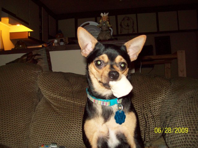 Little Bits birthday