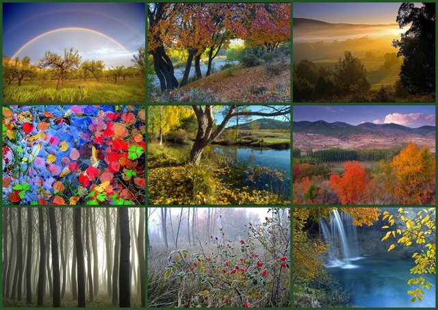 SE CREA LA REAL SOCIEDAD PARA LA CONSERVACIÓN DE LA NATURALEZA