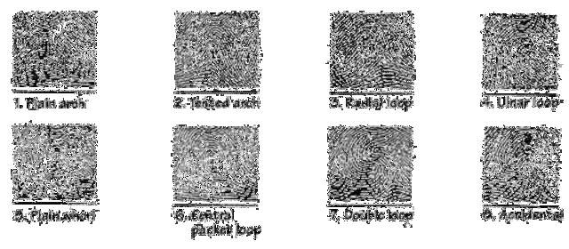 Fingerprints are found unique