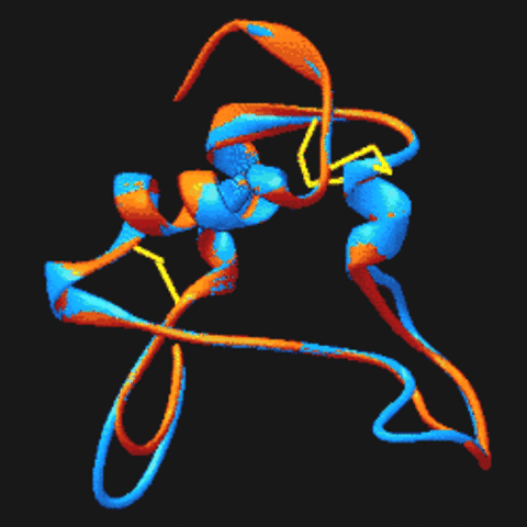 Estructura de  la insulina