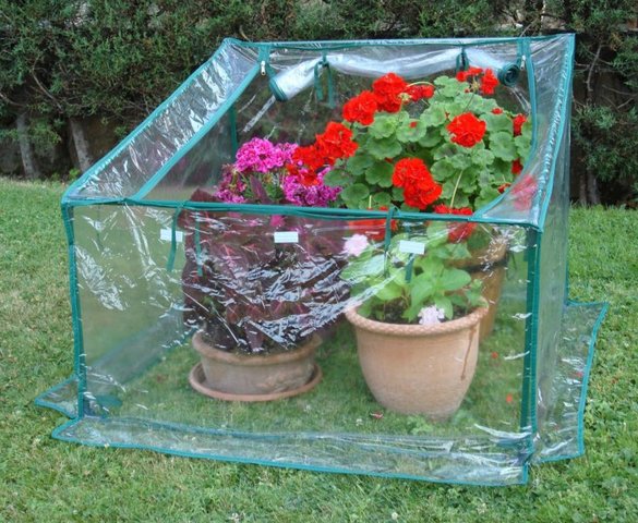 CONVENCIÓN PARA LA PROTECCIÓN DE LAS PLANTAS.