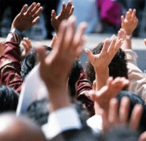 PEDAGOGÍA LIBERADORA