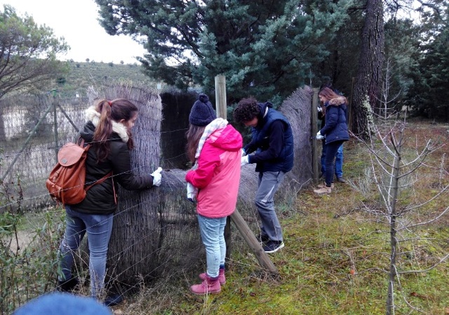 Ayuda Comunitaria a la Reserva Natural de