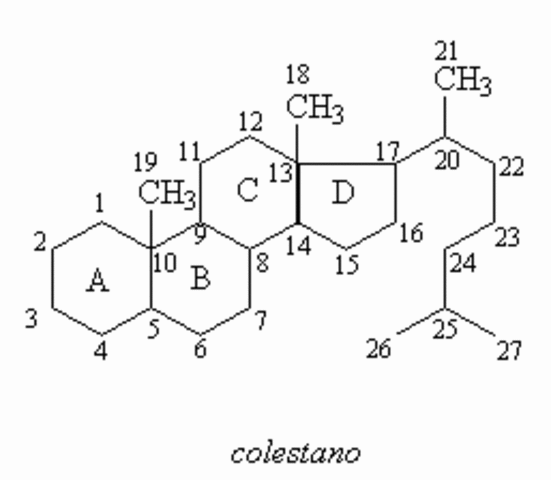 Estructura de los esteroides y derivados