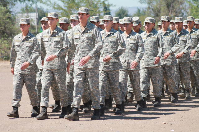 Las raíces de la disciplina