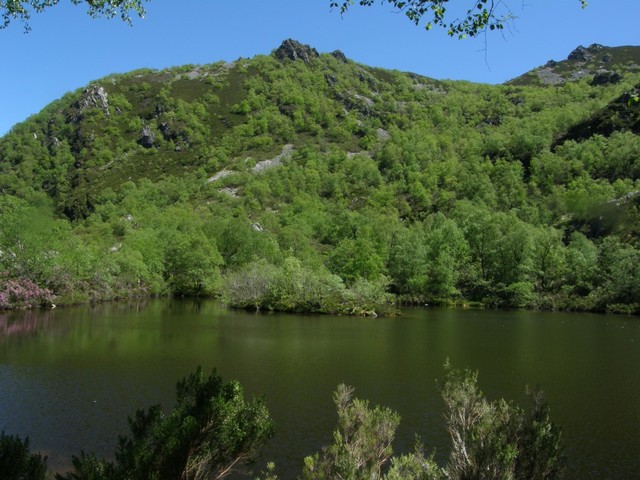 PRIMERA RESERVA DE LA BIOSFERA (EEUU).