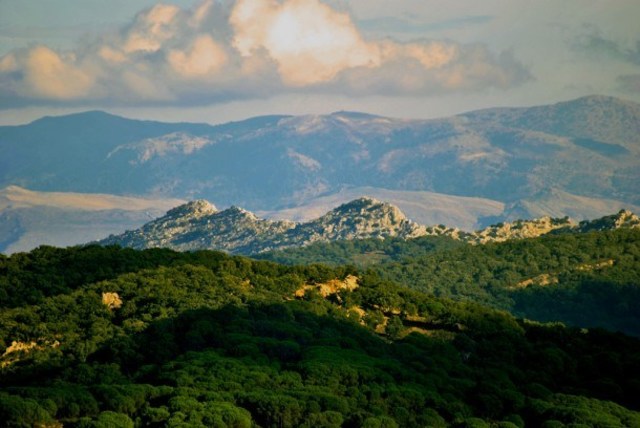 PRIMER RESERVA DE BIOSFERA: ATOLON DE TAIARO.