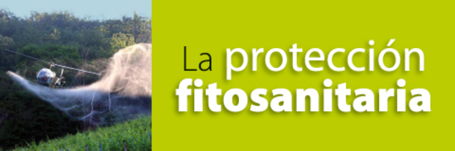 CONVENCIÓN INTERNACIONAL DE PROTECCIÓN FITOSANITARIA.