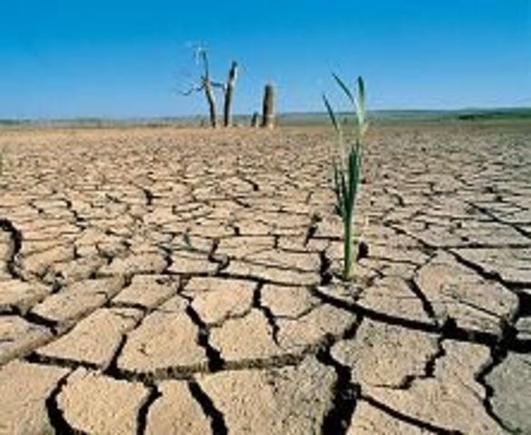 CONVENCIÓN DE LAS NACIONES UNIDAS DE LUCHA CONTRA LA DESERTIFICACION EN LOS PAÍSES AFECTADOS POR SEQUÍAS GRAVES O DESERTIFICACION EN PARTICULAR ÁFRICA.