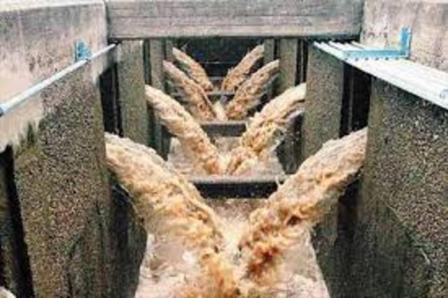 SURGIMIENTO DE LA INGENIERÍA