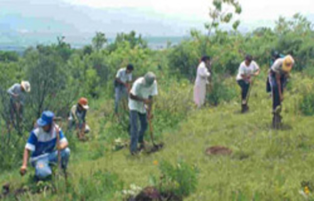 política international para el cuidado del  medio ambiente.