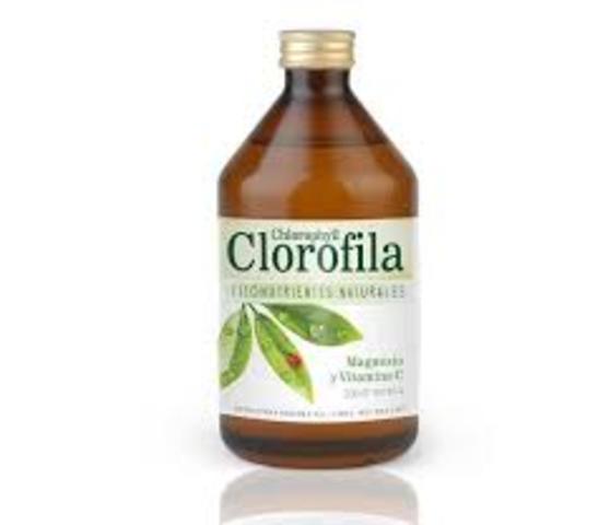Clorofila
