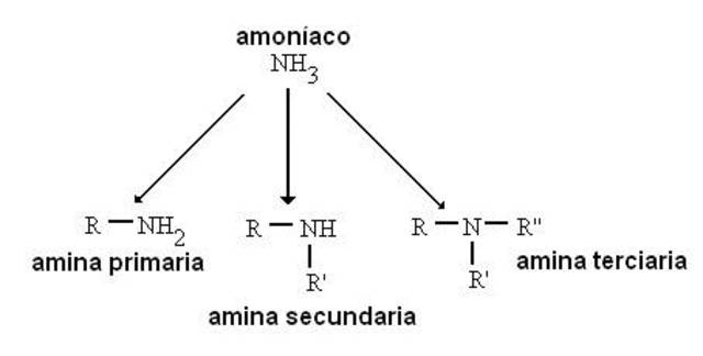 La teoria de los tipos