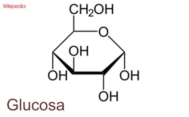 La Glucosa