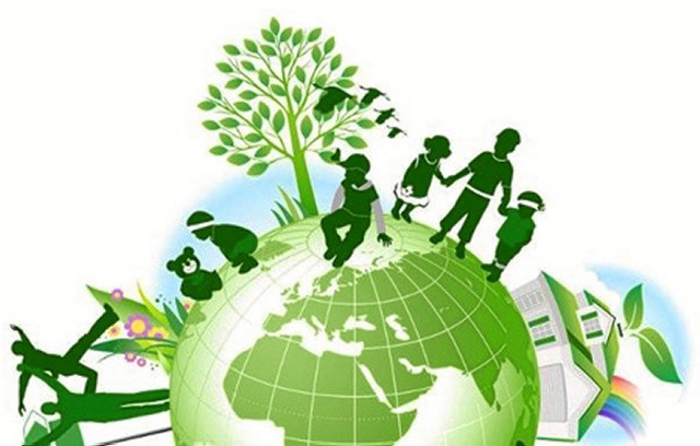 PROTECCIÓN DEL MEDIO AMBIENTE.