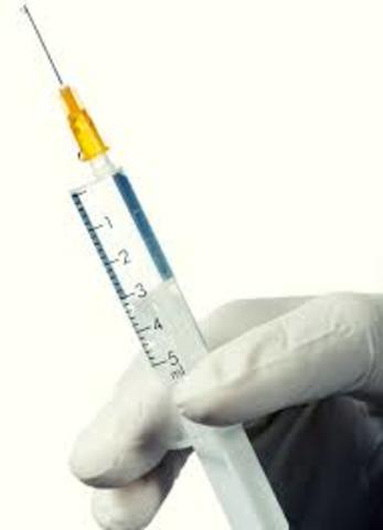 Decreto 2330 de 2006