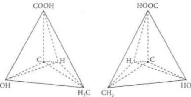 átomos de carbono fijos a anillos planos