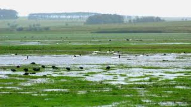 "trabajar en pro del uso de los humedales en cada territorio"