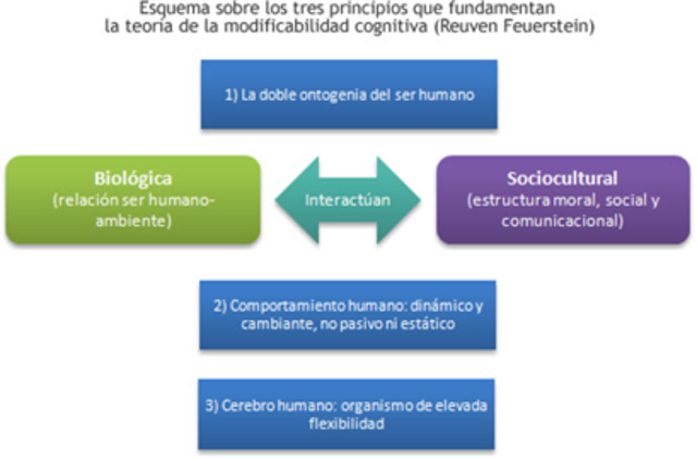 Modificabilidad cognitiva estructural