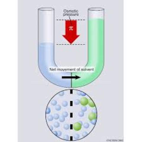 presión osmótica