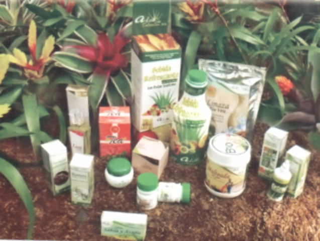 decreto 337 del 1998