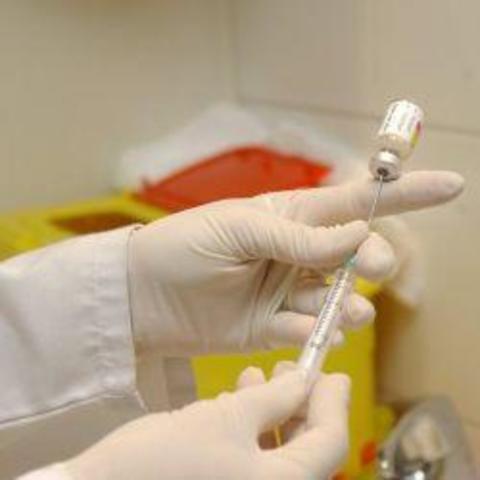 Decreto 2330 de 2006