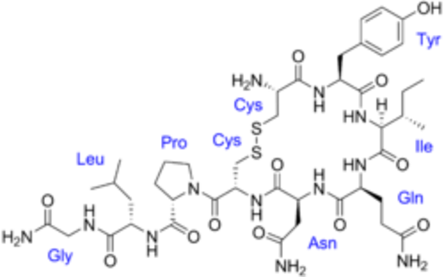 Sintetizacion de la Oxitocina