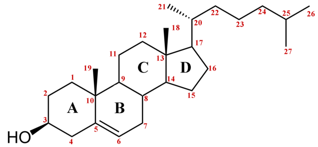 Sintetizacion del Colesterol