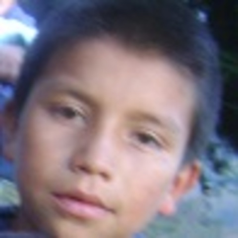 Todo lo que brilla no es oro.