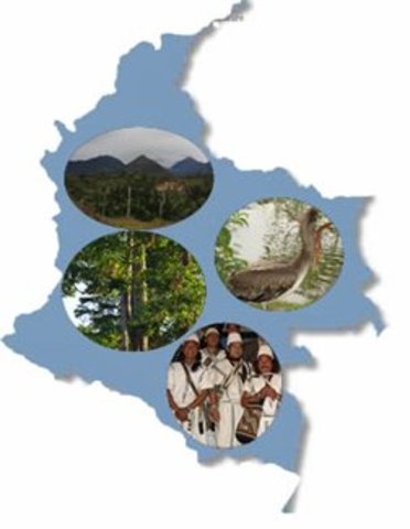 LEY AMBIENTAL DE COLOMBIA