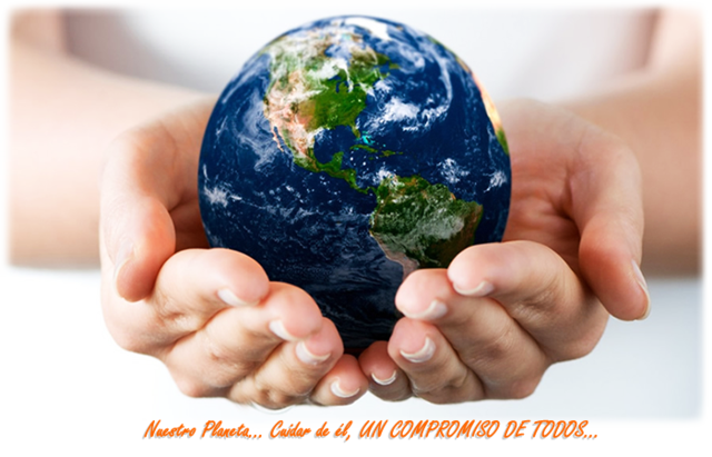 Se crea la real sociedad para la conservación de la naturaleza.